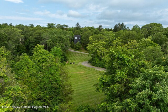 22 Skinner Ln, Catskill, NY 12414 - drone / aerial view