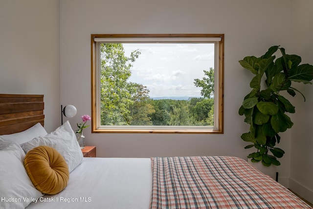 22 Skinner Ln, Catskill, NY 12414 - view of bedroom
