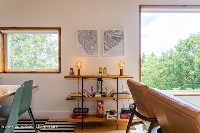 22 Skinner Ln, Catskill, NY 12414 - home office featuring wood finished floors