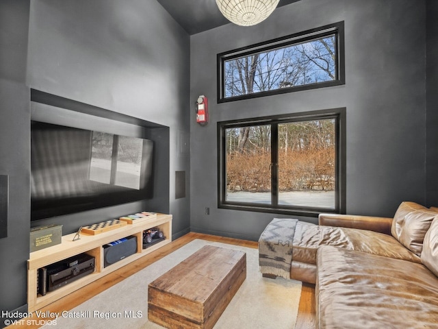 living area featuring a high ceiling and wood finished floors