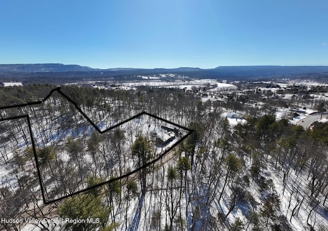 snowy aerial view featuring a mountain view