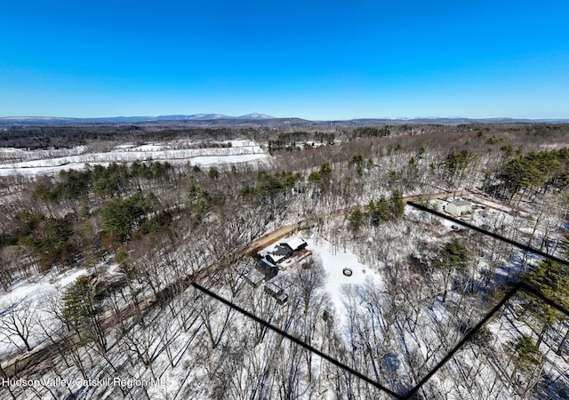 snowy aerial view featuring a mountain view