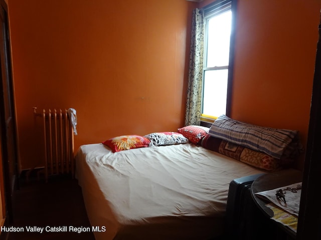 538 Prospect St, Hudson, NY 12534 - photo 33