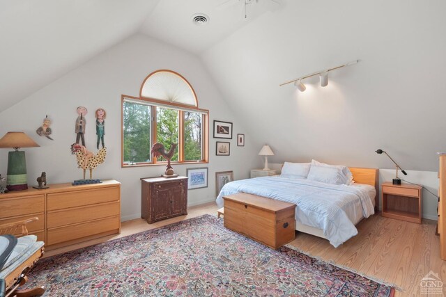 57 Spencer Rd, Austerlitz, NY 12017 - bedroom with vaulted ceiling, track lighting, and light wood finished floors