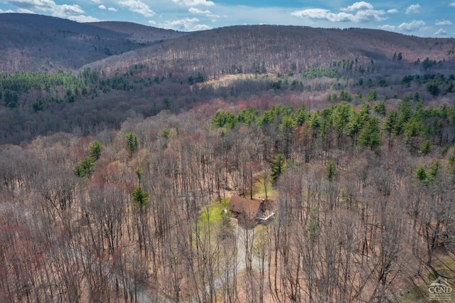 57 Spencer Rd, Austerlitz, NY 12017 - view of mountain backdrop featuring a heavily wooded area
