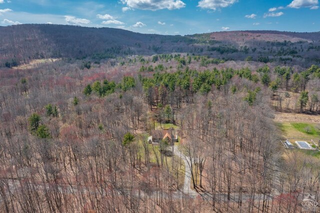57 Spencer Rd, Austerlitz, NY 12017 - view of mountain backdrop with a forest