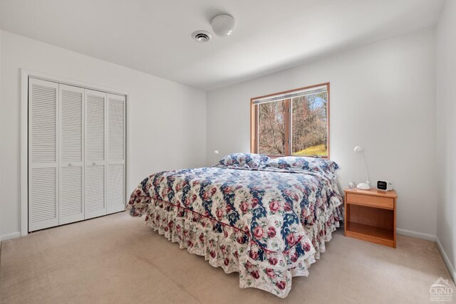 57 Spencer Rd, Austerlitz, NY 12017 - carpeted bedroom featuring a closet and baseboards