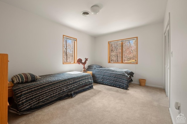 57 Spencer Rd, Austerlitz, NY 12017 - carpeted bedroom with multiple windows, baseboards, and a closet