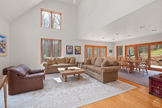 57 Spencer Rd, Austerlitz, NY 12017 - living area featuring wood finished floors, healthy amount of natural light, high vaulted ceiling, and recessed lighting