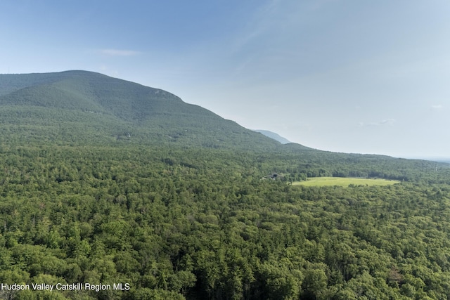 1807 Glasco Tpke, Woodstock, NY 12498 - photo 38