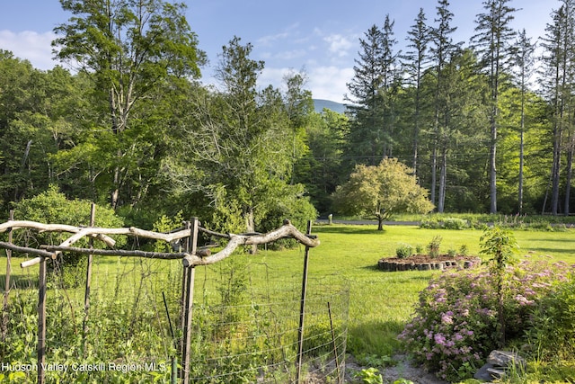 1807 Glasco Tpke, Woodstock, NY 12498 - photo 33