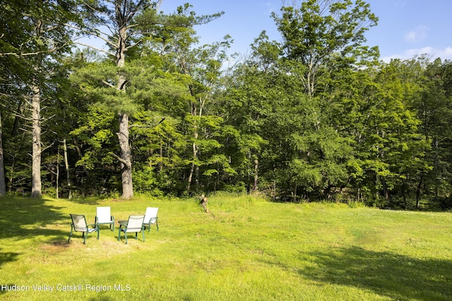 1807 Glasco Tpke, Woodstock, NY 12498 - photo 36