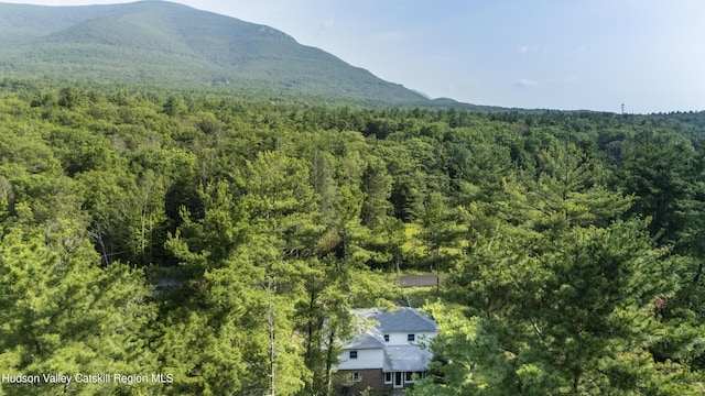 1807 Glasco Tpke, Woodstock, NY 12498 - photo 2