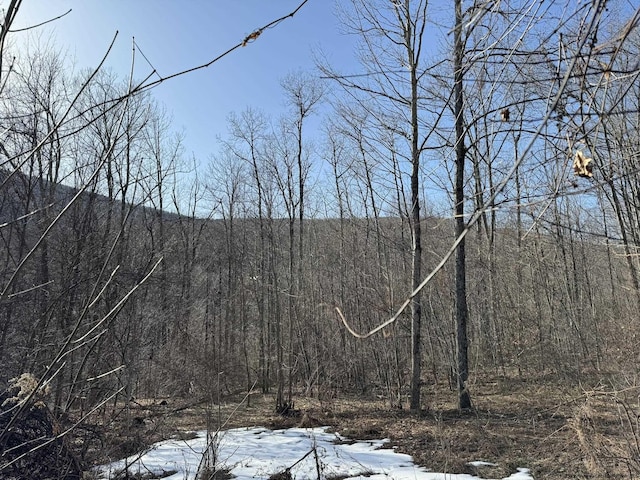 0 Erika Dr, Shandaken NY, 12480 land for sale