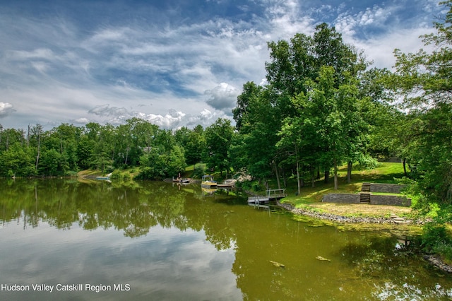 3223 Sleepy Hollow Rd, Athens, NY 12015 - photo 56