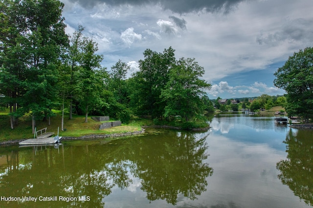 3223 Sleepy Hollow Rd, Athens, NY 12015 - photo 57