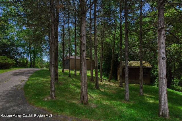 3223 Sleepy Hollow Rd, Athens, NY 12015 - photo 59