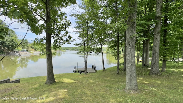 3223 Sleepy Hollow Rd, Athens, NY 12015 - photo 6
