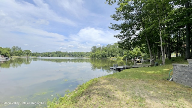 3223 Sleepy Hollow Rd, Athens, NY 12015 - photo 2