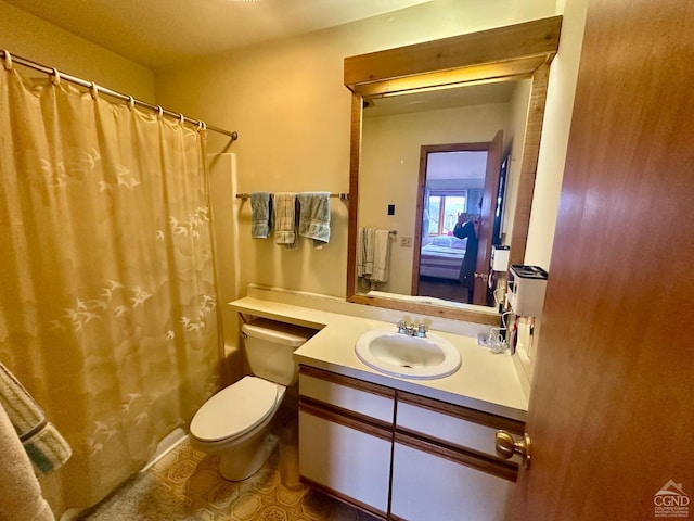 50 Windham Mt Village Rd, Windham, NY 12496 - bathroom with vanity, toilet, and curtained shower