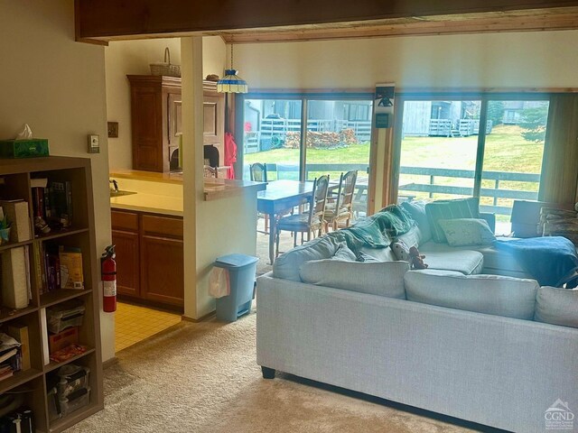 50 Windham Mt Village Rd, Windham, NY 12496 - living room featuring light colored carpet