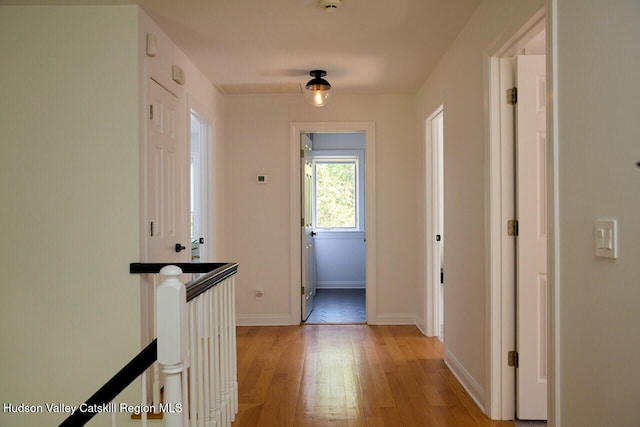11 Tall Pines Rd, New Paltz, NY 12561 - photo 25