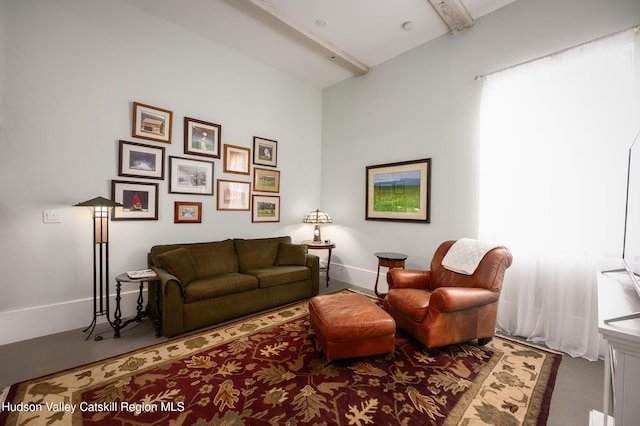 81 N Main St, Ellenville, NY 12428 - living room with beam ceiling and baseboards