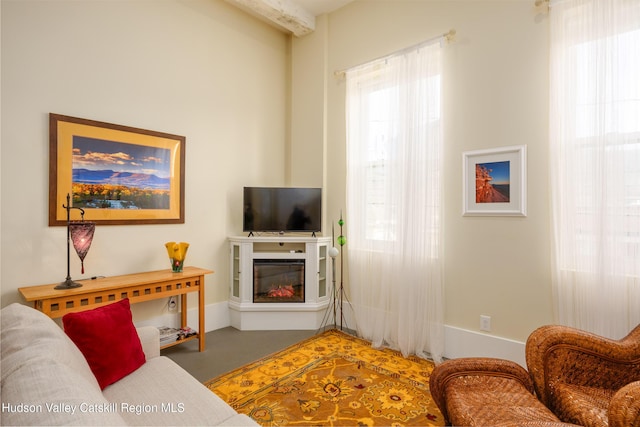 81 N Main St, Ellenville, NY 12428 - living room featuring a glass covered fireplace and finished concrete floors