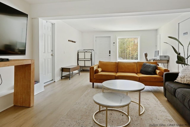 living room featuring light hardwood / wood-style floors