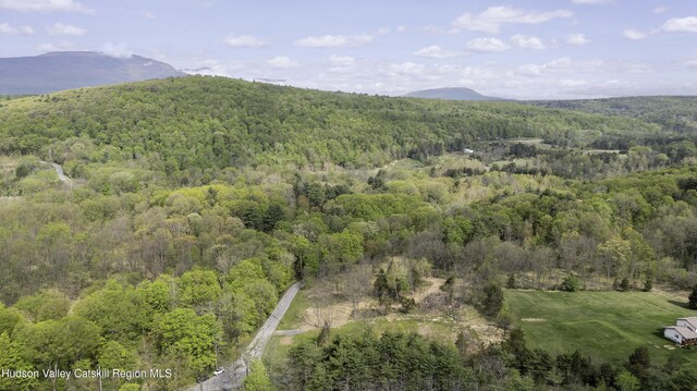 2809 Old Kings Rd, Catskill, NY 12414
