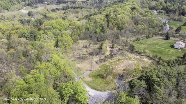 2809 Old Kings Rd, Catskill, NY 12414