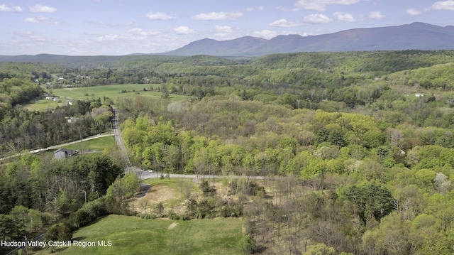 2809 Old Kings Rd, Catskill, NY 12414