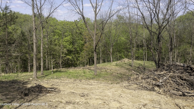 2809 Old Kings Rd, Catskill, NY 12414
