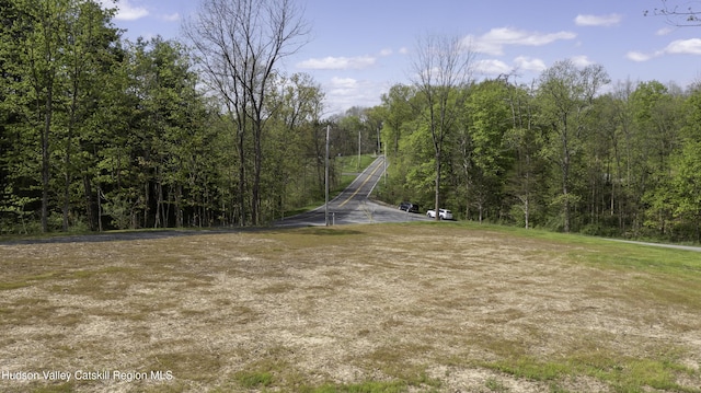 2809 Old Kings Rd, Catskill, NY 12414
