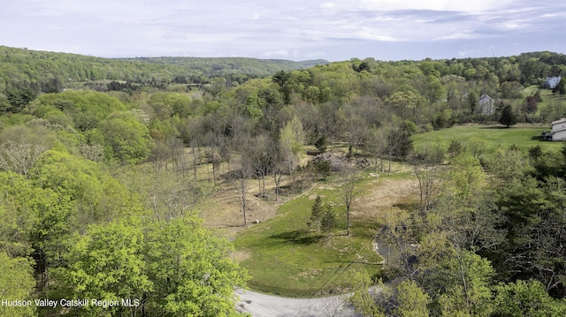 2809 Old Kings Rd, Catskill, NY 12414
