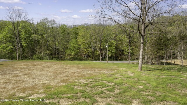 2809 Old Kings Rd, Catskill, NY 12414