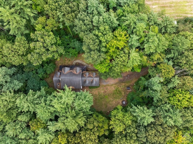 2491 Brookview Rd, Schodack, NY 12033 - photo 9