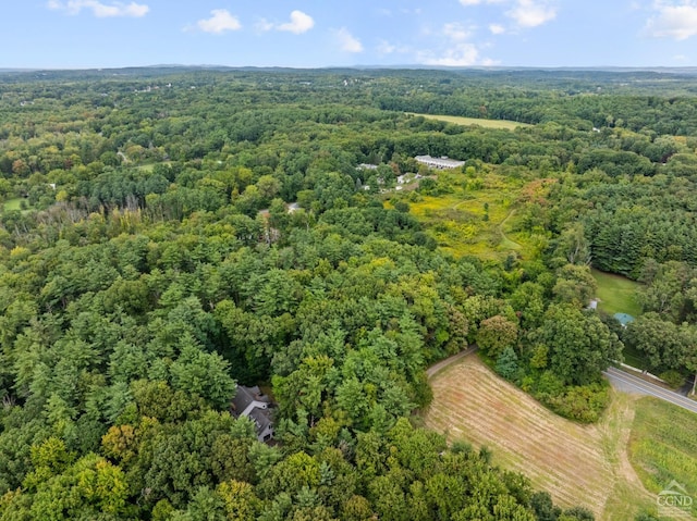 2491 Brookview Rd, Schodack, NY 12033 - photo 6