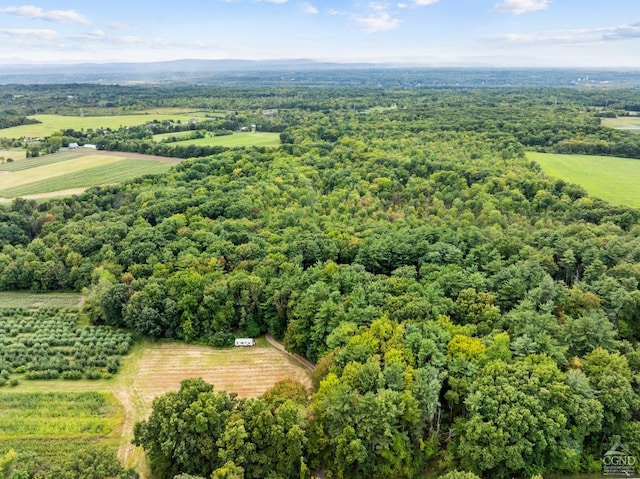 2491 Brookview Rd, Schodack, NY 12033 - photo 8