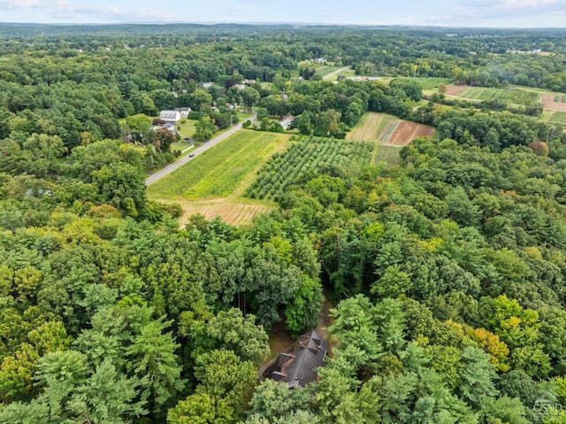 2491 Brookview Rd, Schodack, NY 12033 - photo 7