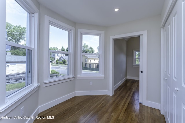 interior space featuring dark wood-type flooring and plenty of natural light