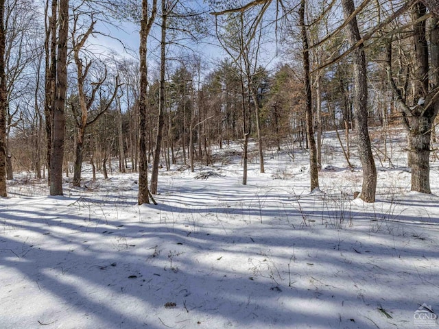 1769 Rte 51, Hannacroix, NY 12087 - view of yard
