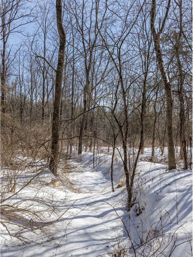 1769 Rte 51, Hannacroix, NY 12087 - view of yard covered in snow