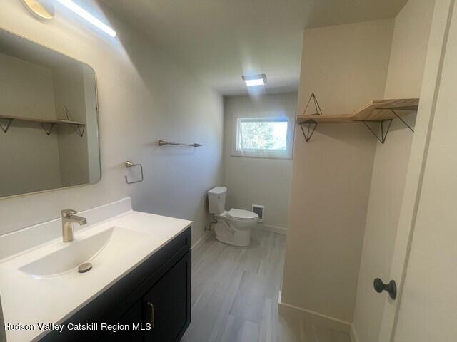 bathroom with toilet, vanity, and hardwood / wood-style flooring