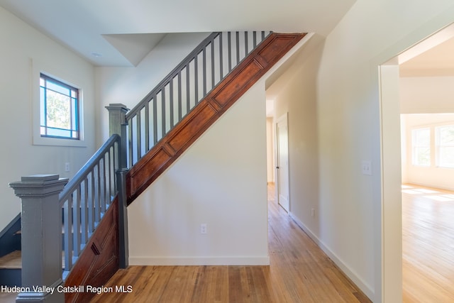 stairway with hardwood / wood-style floors