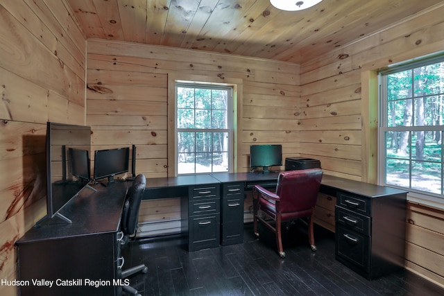 office space featuring dark hardwood / wood-style flooring, wooden ceiling, and wooden walls