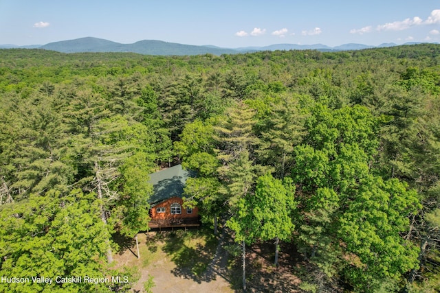 birds eye view of property with a mountain view