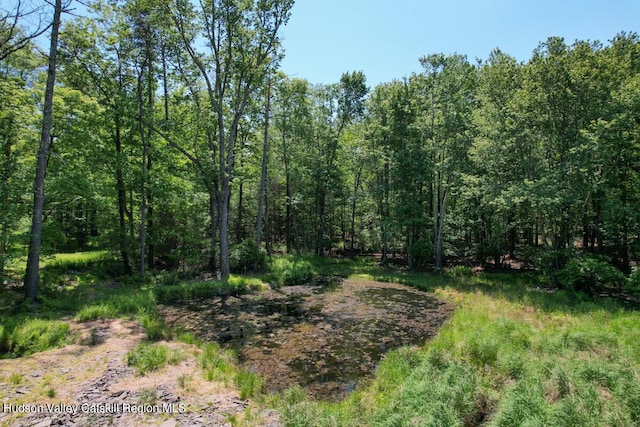 view of local wilderness