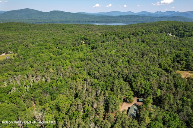 drone / aerial view with a mountain view