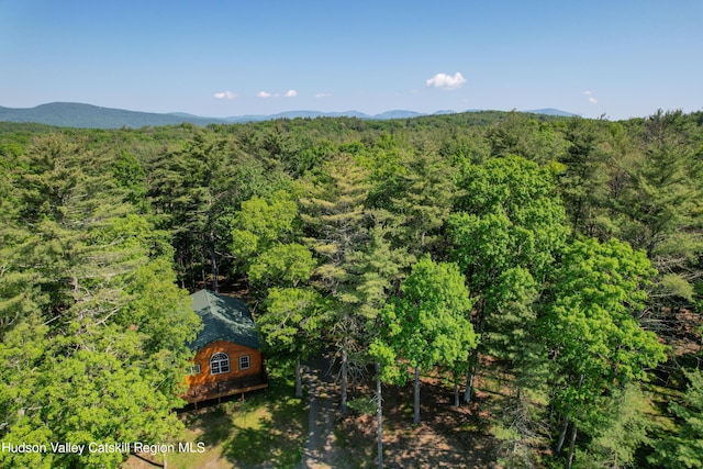 bird's eye view with a mountain view